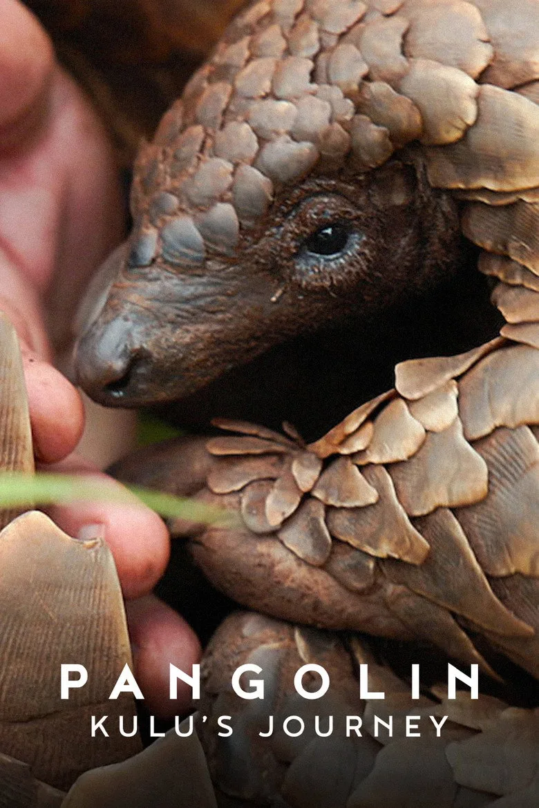 Pangolin: Kulu'nun Yolculuğu Film izle